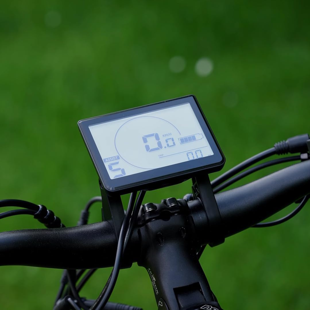 Molicycle R1 26" E-Bike Damen – 250W Motor, 14.5Ah Akku, 110 km Reichweite