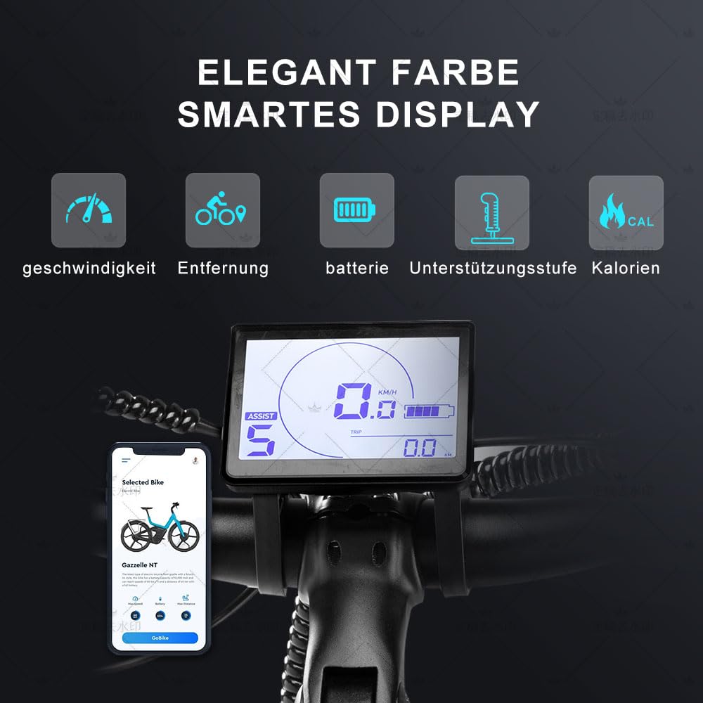 NAKXUS 26M208 E-Bike – 26" Trekkingrad, 100 km Reichweite, 250W Motor