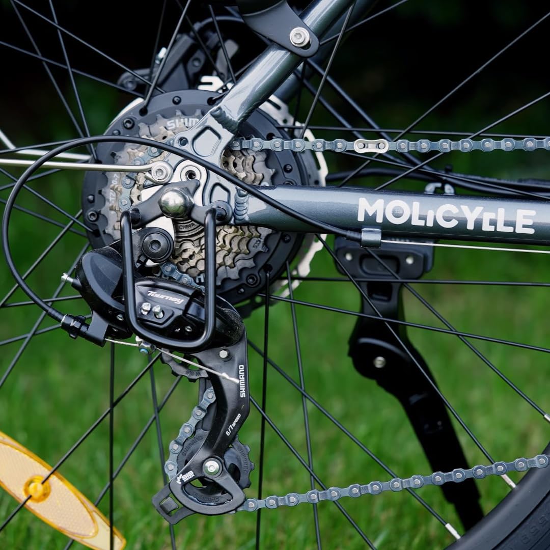 Molicycle R1 26" E-Bike Damen – 250W Motor, 14.5Ah Akku, 110 km Reichweite